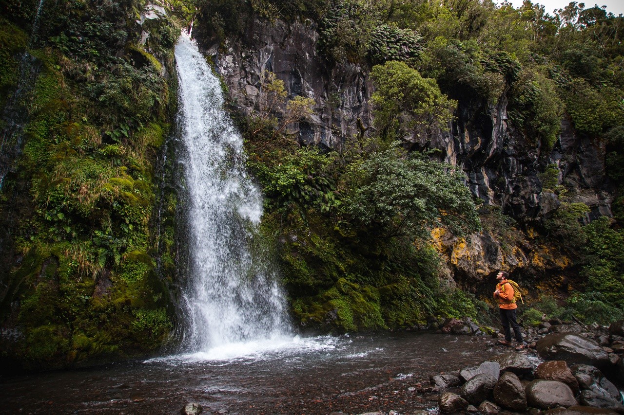Dawson Falls Taranaki Maunga National Park